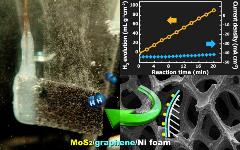 Highly Efficient Electrocatalytic Hydrogen Production by MoSx Grown on Graphene-Protected 3-Dimensional Ni Foams (2)