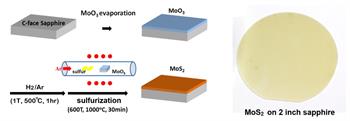 Wafer Scale MoS2 Thin Layers Prepared by MoO3 Sulfurization (2)